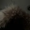 ykkfk.0