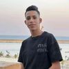 hallim.dz7