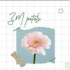 zm_petals