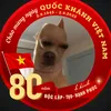 _tminh146