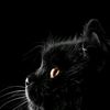 farouk_imou