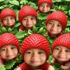 pulu3658