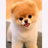your_bestiee4
