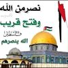 salah.eldin08