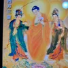 ngocloan.tran8