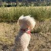 milena.gmez450