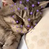 y0uw4nn4gue55