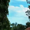 radit.bkt.187