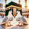 user3049123249443