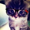 navvpretty