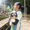cesi_noela