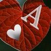 user838808688