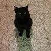 simbakiara4
