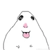 mariempnbfh