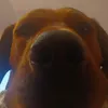 tamer_gweru_kasia_