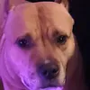 kdougengs7