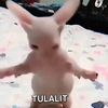 alza_0.lopyu