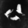 xyrlycn666