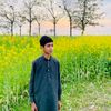 user423157052530