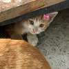 qxwllll