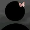 _n10xinz_