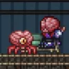fusion_ed