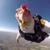 fytionedit69