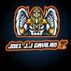 joel.j.j.gavilan