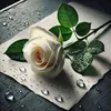 user1149002222971