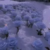 _luna_0119