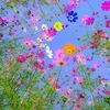 ayshaakther0568