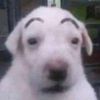 b7_0r9