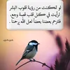 user55339373961066