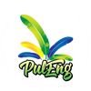 PulEng