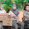teert2551