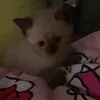 misslilo_0