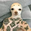 izn.grz33