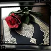 samer3236