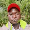 joel84391