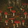 mushroomhivemind