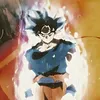 goku_5.17