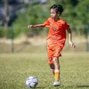 nt.gol_011