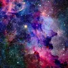 la_oli55