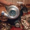 muchacho.bueno2