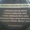 ali.ismail805