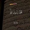 ibrahimgamal6885