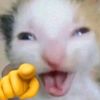 pikaapmaaxzc