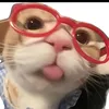 bhann.ngn