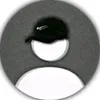 gustav0_2025