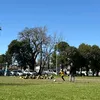 fran_el_11